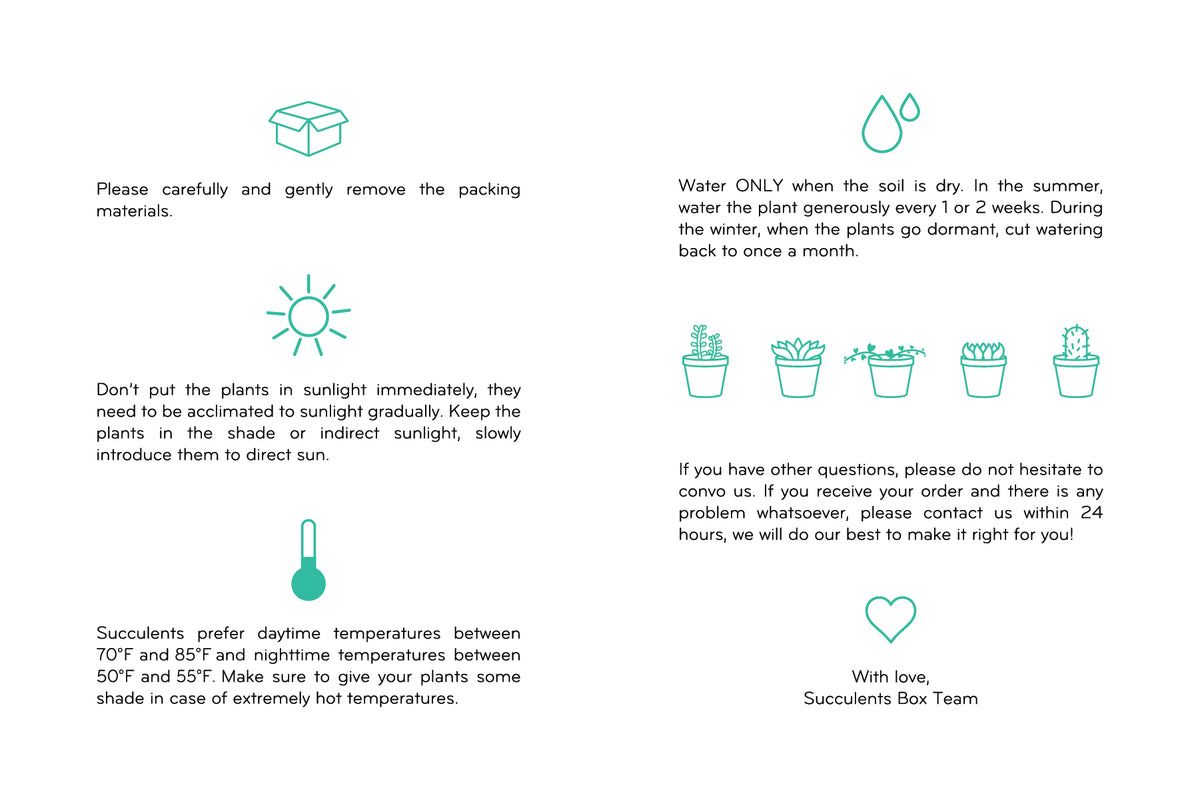 Succulent care card for sale, Succulents care guide, Succulents care instruction, How to care for succulent plants