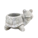 Cement Turtle Flower Pot, Cement Turtle Pot for sale, Small Succulent and Cactus Pot, Elegant Animal Desk Decor, Home Decor Office Decor, Cute Cement Turtle succulent planter pot, succulent gift ideas