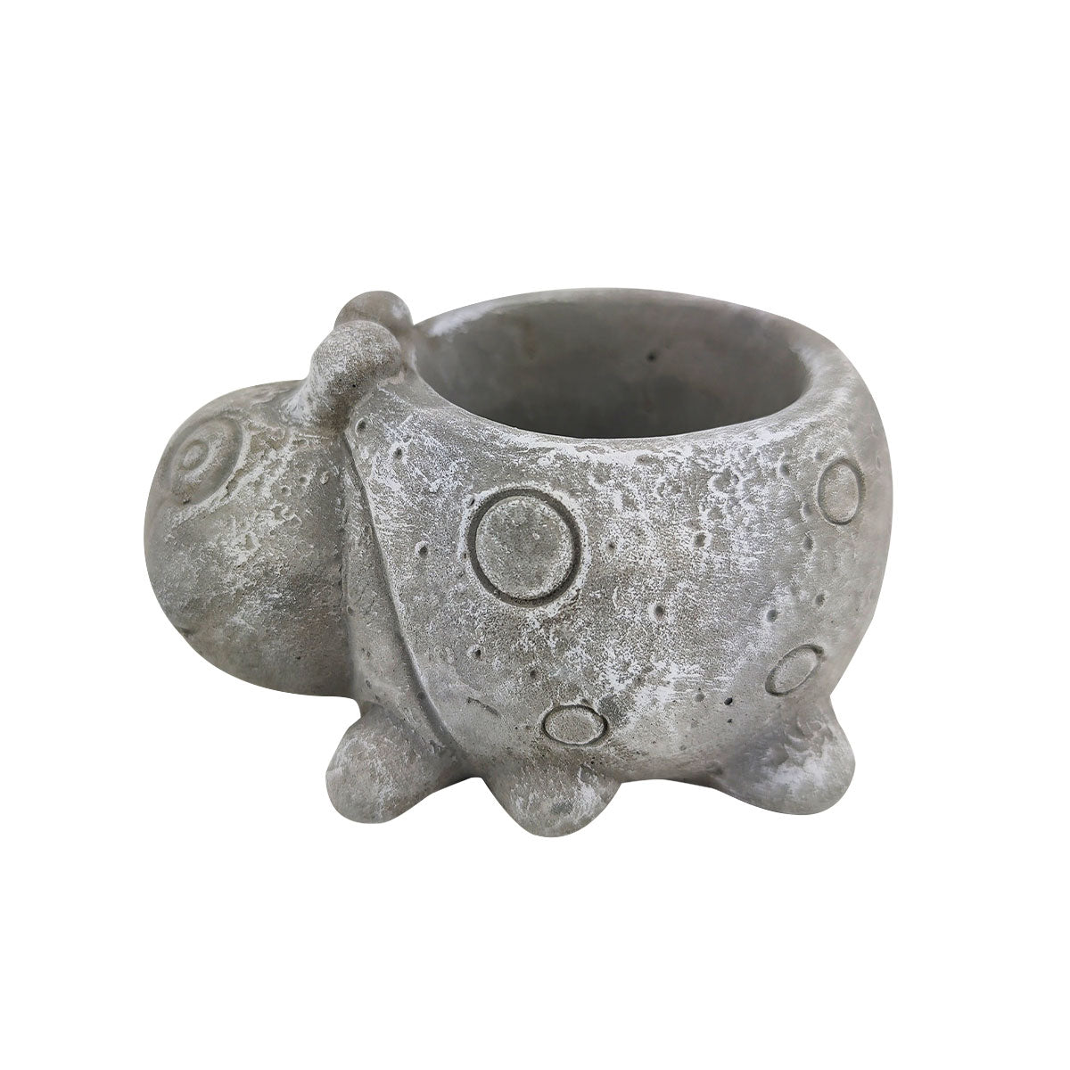 Cement Ladybug Flower Pot, Cement Ladybug Pot for sale, Small Succulent and Cactus Pot, Elegant Animal Desk Decor, Home Decor Office Decor, Cute Cement Ladybug succulent planter pot, succulent gift ideas