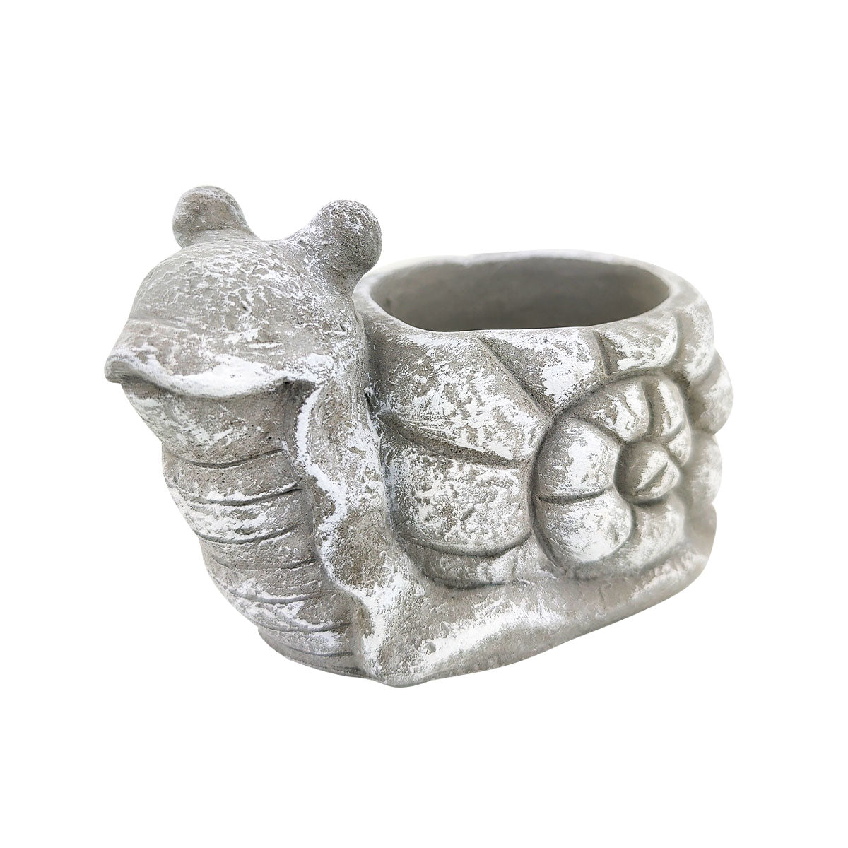 Cement Snail Flower Pot, Cement Snail Pot for sale, Small Succulent and Cactus Pot, Elegant Animal Desk Decor, Home Decor Office Decor, Cute Cement Snail succulent planter pot, succulent gift ideas