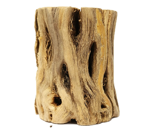 Cholla Wood Hardwood Planters