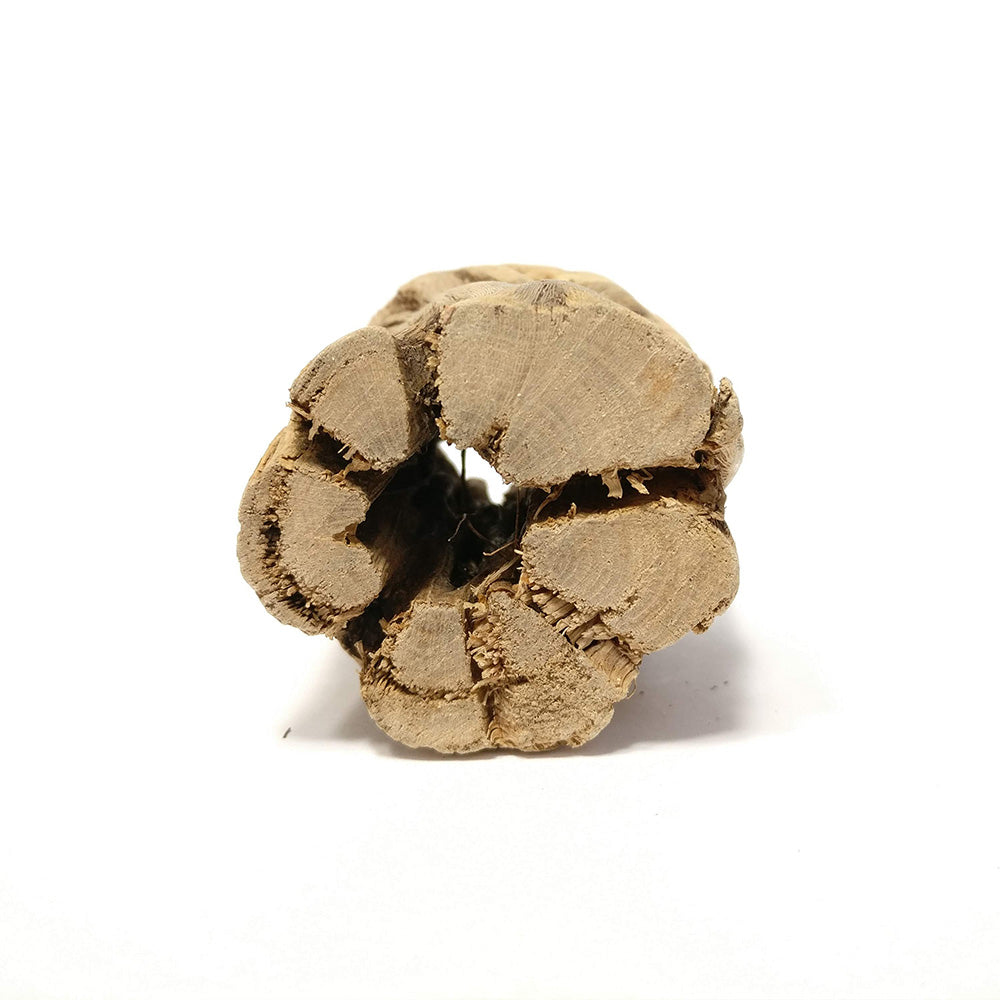 Cholla Wood Hardwood for Sale