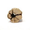 Cholla Wood Hardwood Planters