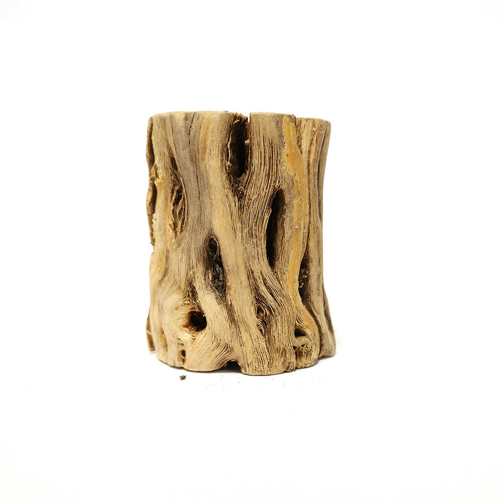 Cholla Wood Design for Air Plants