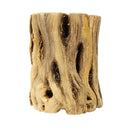 Cholla Wood Hardwood Planters