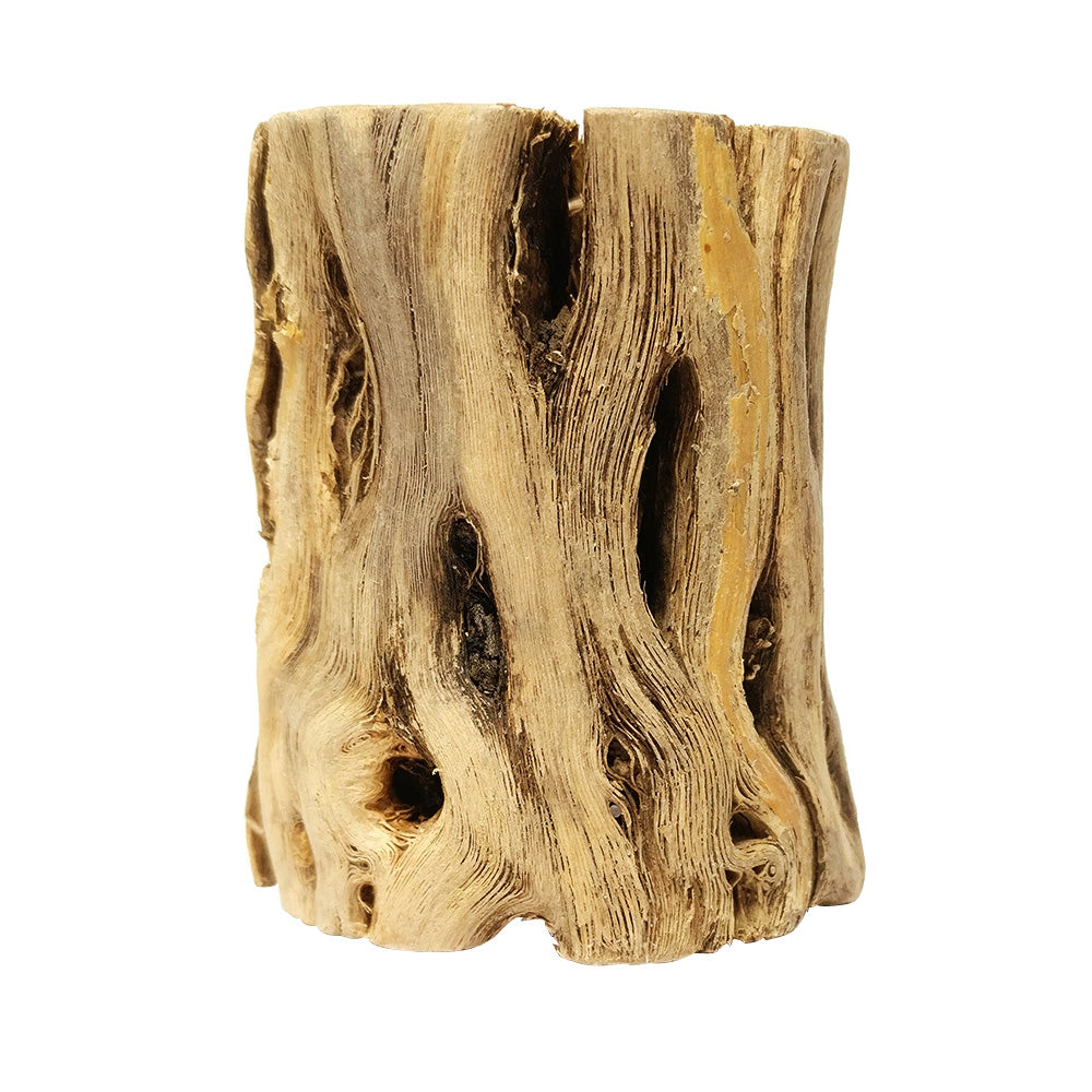 Cholla Wood Hardwood Pots