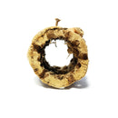 Cholla Wood Small Cleaned Planters