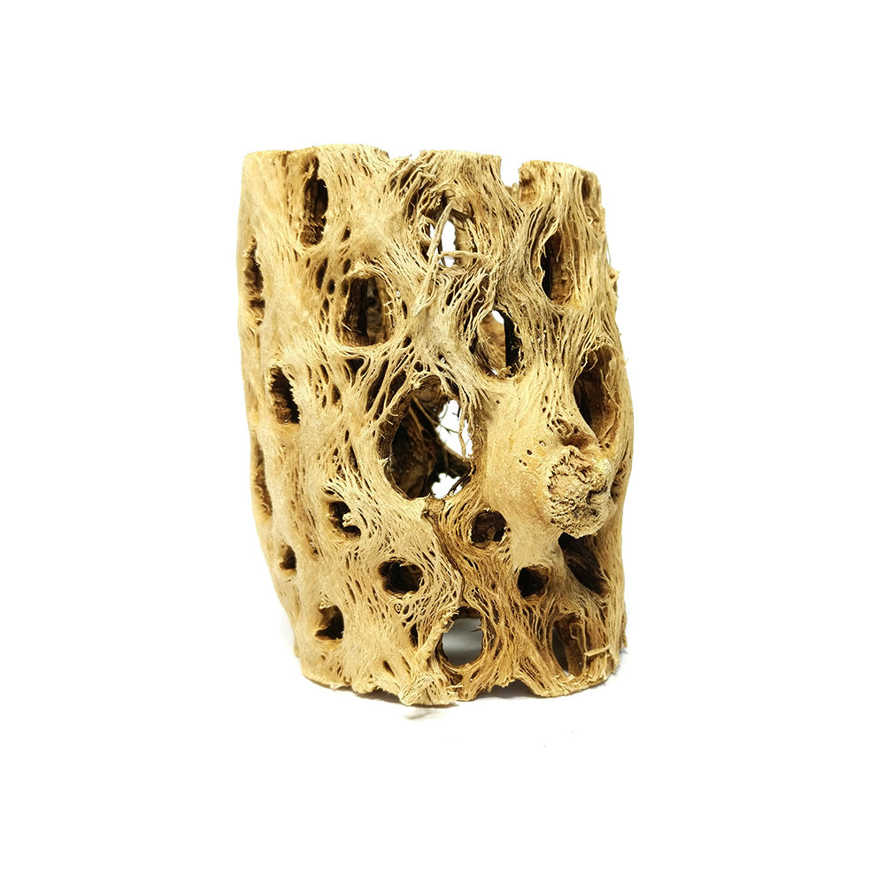 Small Cholla Wood for Sale