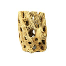 Cholla Wood Small Cleaned Planters