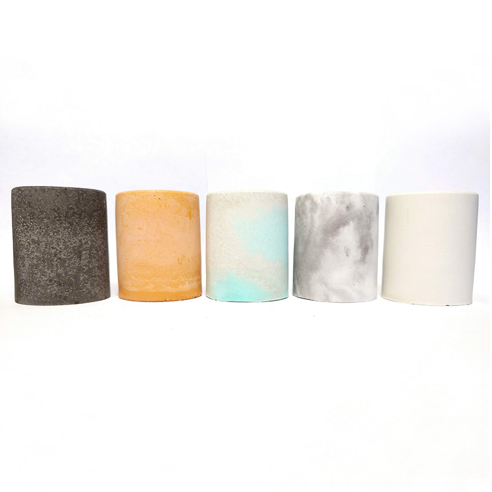 Airplants Pot for Sale