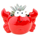 Crab Pot for sale, Ceramic mini pot for succulents and flowers, Ceramic Crab Pot, Cute succulent planter, ideal gifts for mom, Crab Pot for sale