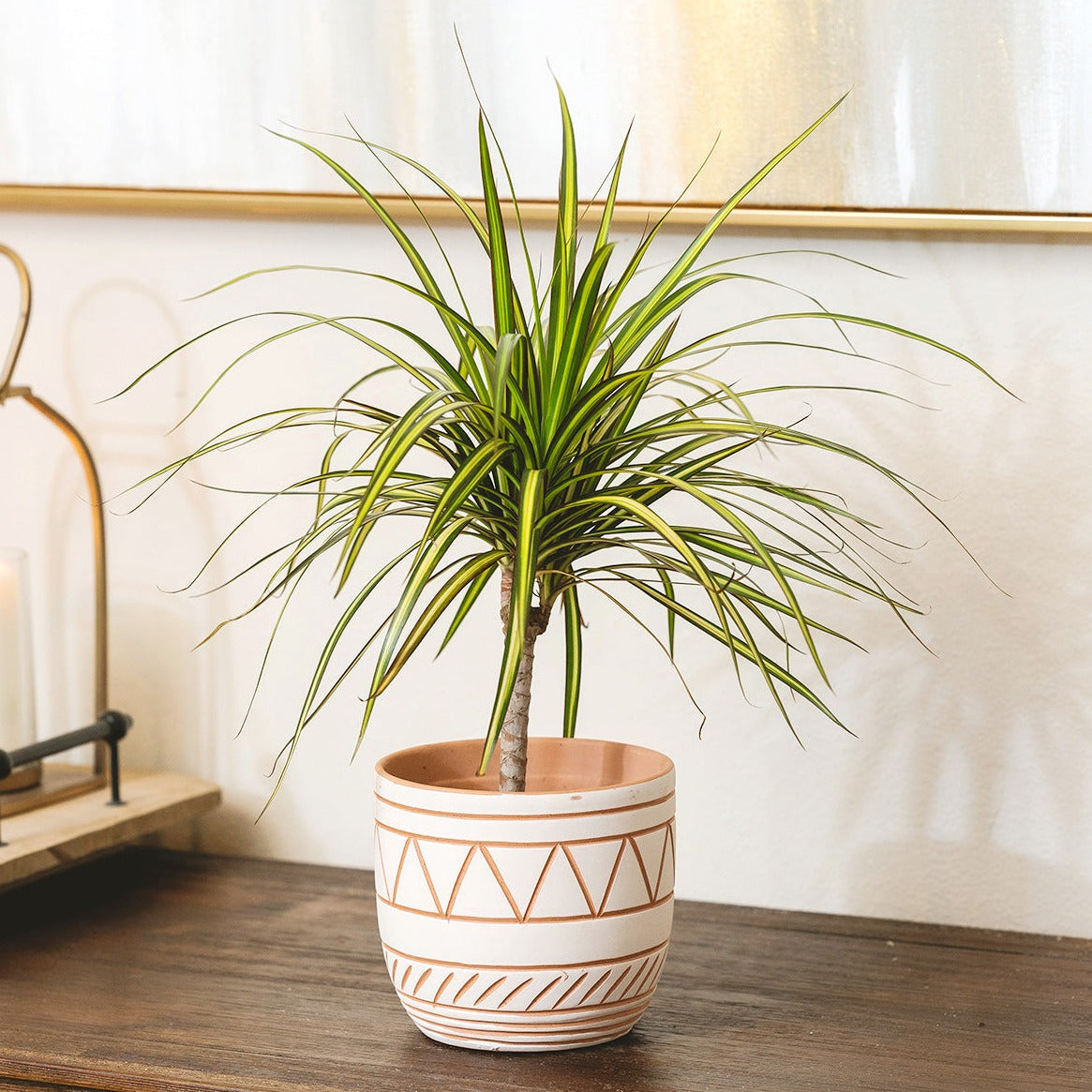 decorative clay pots for indoor plants 5.5 inch White-Clay Color Geometric Pattern Pot