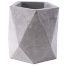 Pentagon Concrete Pot
