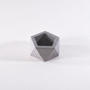 concrete pot for succulents