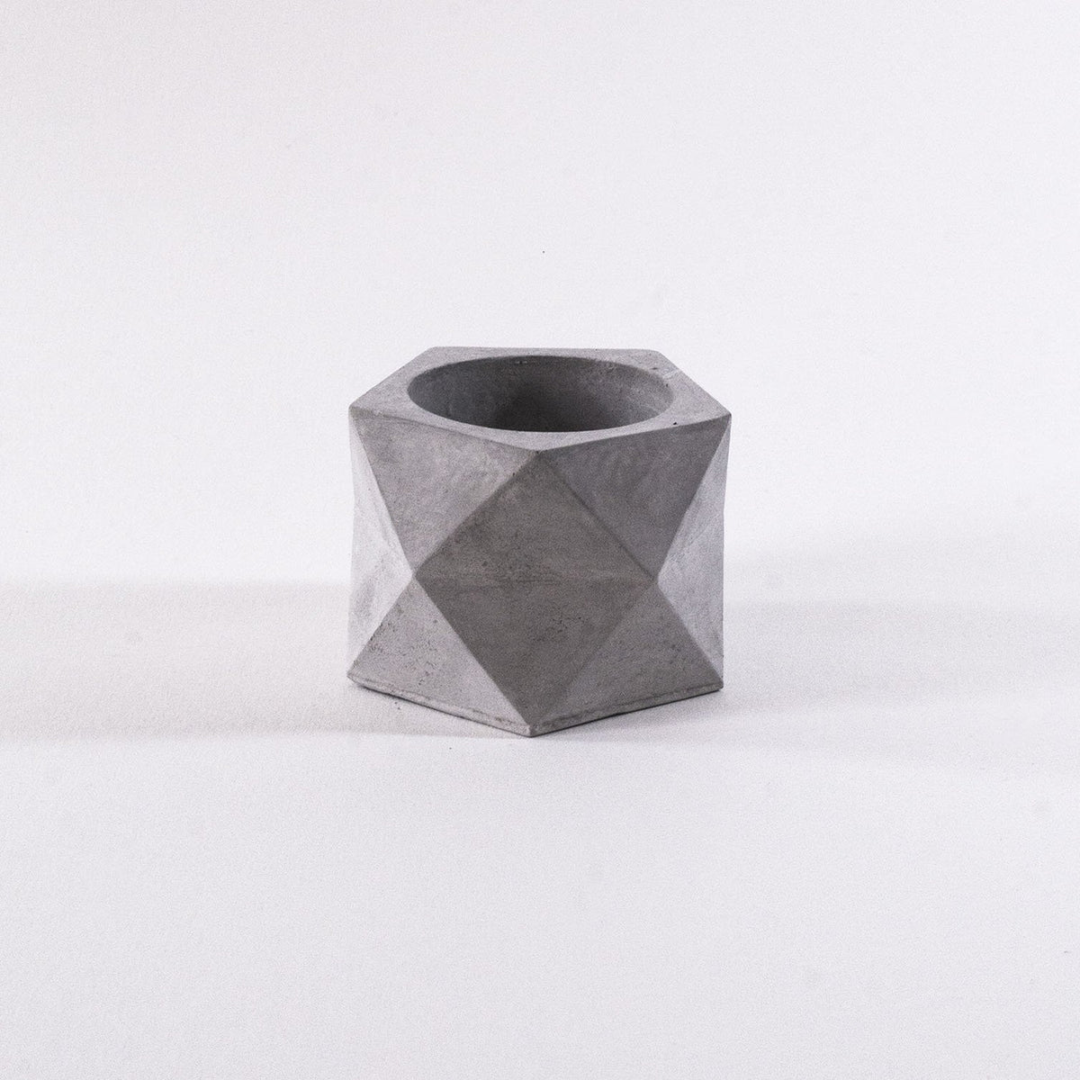  succulent pot, garden gift