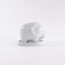 Choose the right pot material for your succulents