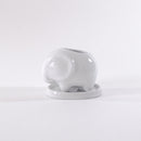 Choose the right pot material for your succulents