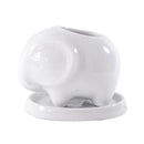 Choose the right pot material for your succulents