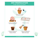 Printable: Succulent Propagation Cards