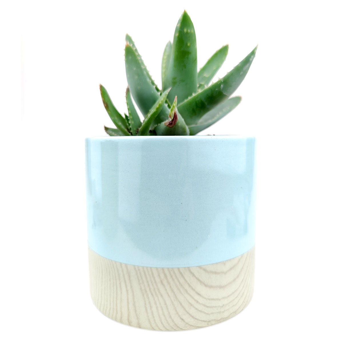Faux Wood Pot for sale, ceramic vase for home decor, ceramic succulent and cactus pots for sale, Succulent gift ideas