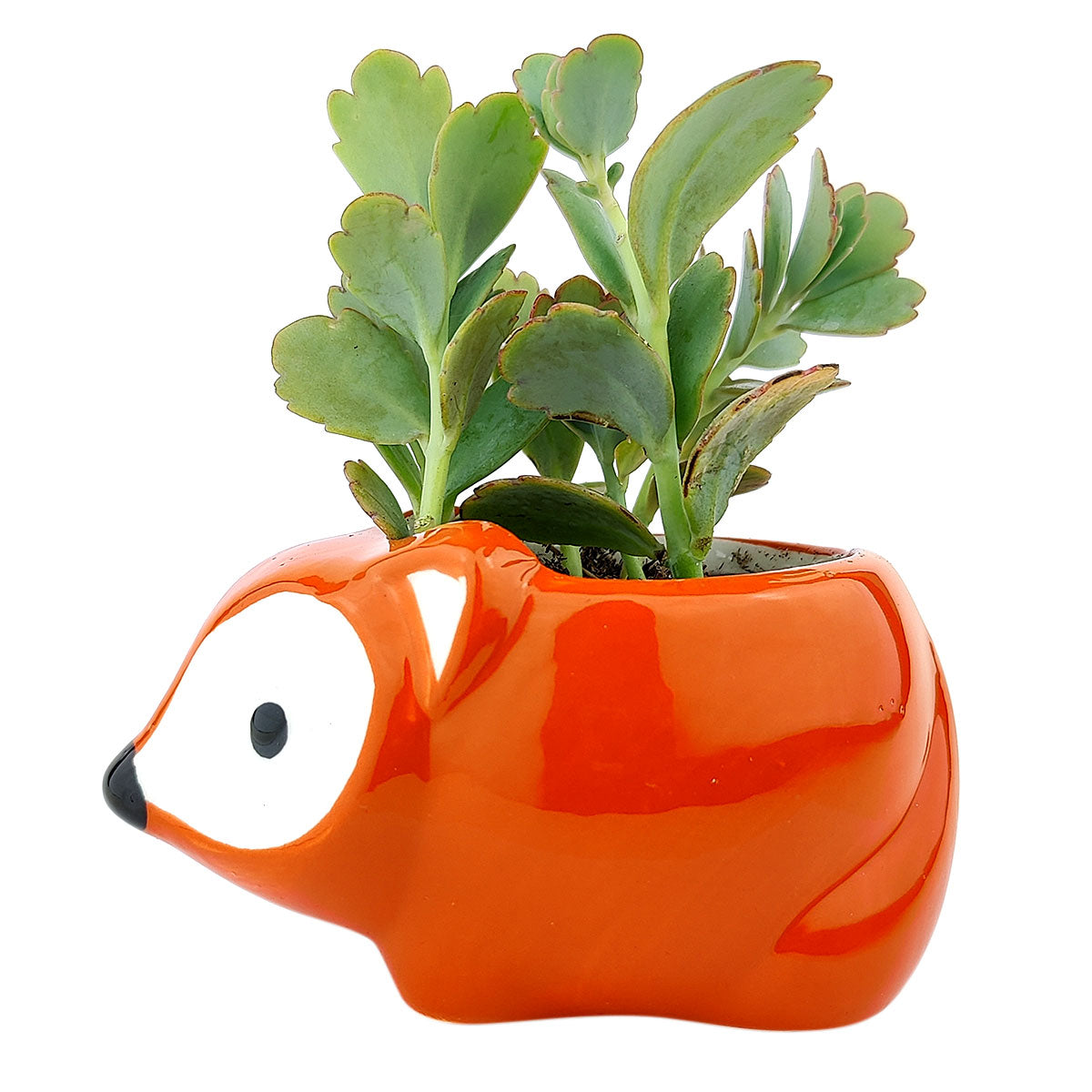 Fox Pot for sale, Cute Ceramic Succulent Pot, Fox Planter Decor, Craft Supplies, Succulent Gift Ideas, Fox Succulent Pot