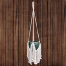 Fringe Macrame pot