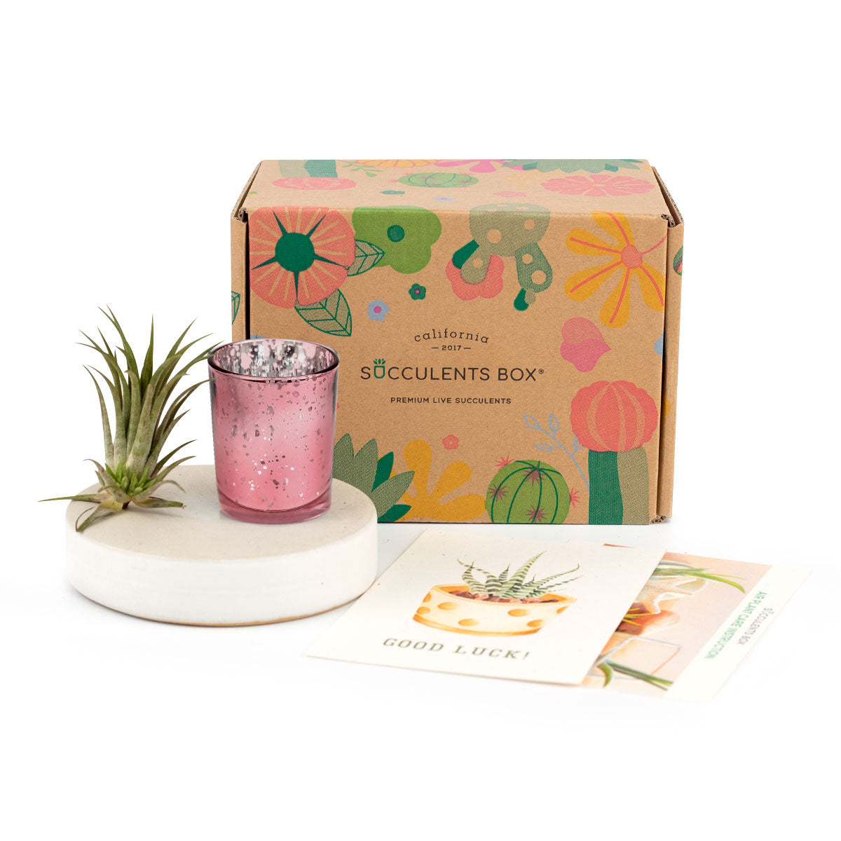 Corporate Gift Succulents For Sale Online, Employee appreciation day 2025 ideas, Succulent Plants for Clients &amp; Employees for sale, Personalized bridal shower favor, Succulents and cactus make awesome wedding favors, DIY wedding succulent centerpieces