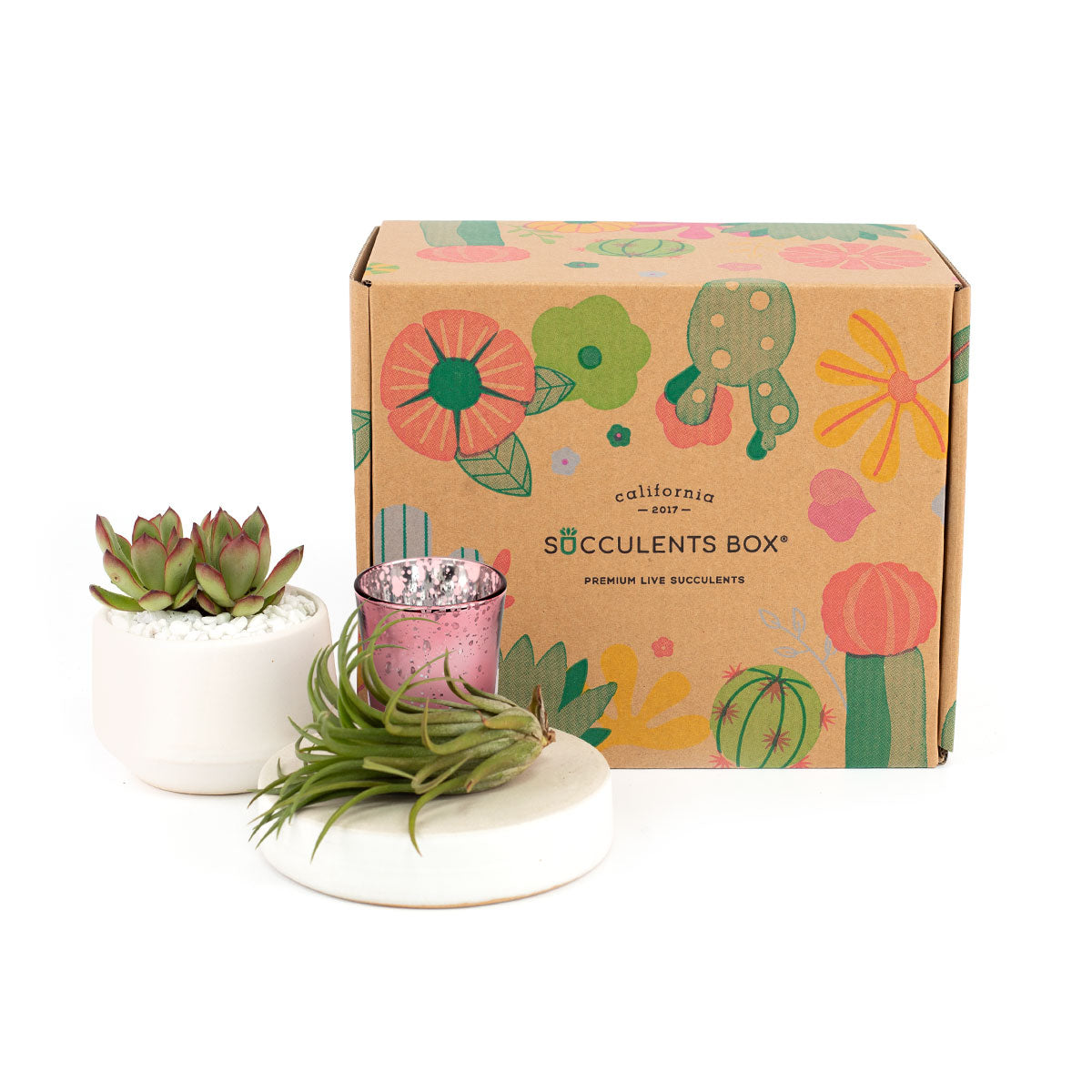 EcoFriendly Succulent Gift Box for Employee, Corporate Gift Succulents For Sale Online, Succulent Thank You Gift Ideas, Thank you gift for your staff in 2025, Customizable Gift Boxes for employees and clients, Office gift for employees, Employee appreciation day 2025 ideas, Succulent Plants for Clients &amp; Employees for sale