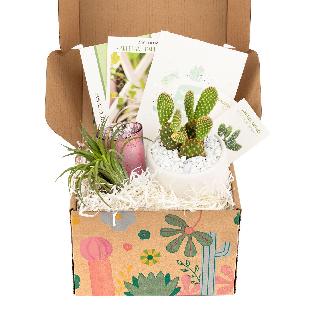 Succulent Gifts for Valentine&#39;s Day, Succulents For Valentine&#39;s Day, Succulent Plant Gift Ideas For Valentine&#39;s Day, Best Valentine Gifts 2024