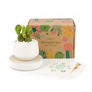 Valentines Day Gift Box, Plants Gift Boxes, Gift Ideas for 2024 Valentine, Valentine 2024 Gift for him