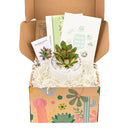 Valentines Day Gift Box, Plants Gift Boxes, Gift Ideas for 2024 Valentine, Valentine 2024 Gift for him