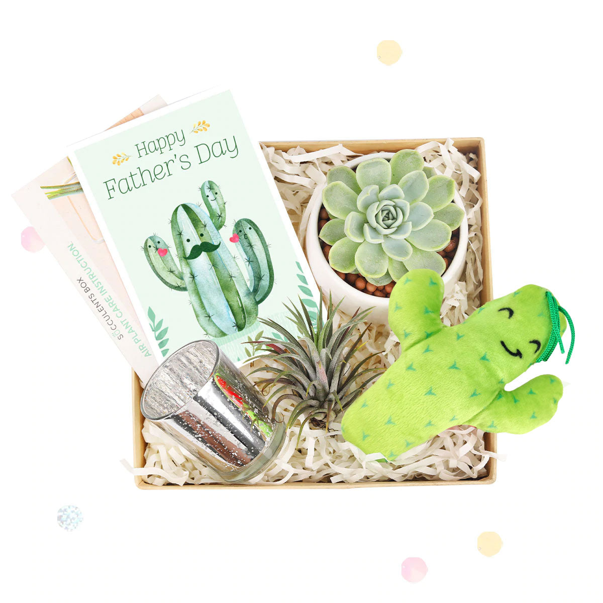 Father&#39;s Day Gift Box, Father&#39;s Day Gift Box Ideas, Plant Dad Gifts, Gifts for Dad, Father&#39;s Day Gifts Delivery 2023, Plant Gifts for Men, Happy Father&#39;s Day Gift, Succulent Gift for Men, Thank You Gift Dad, Appreciation Gift for Dad