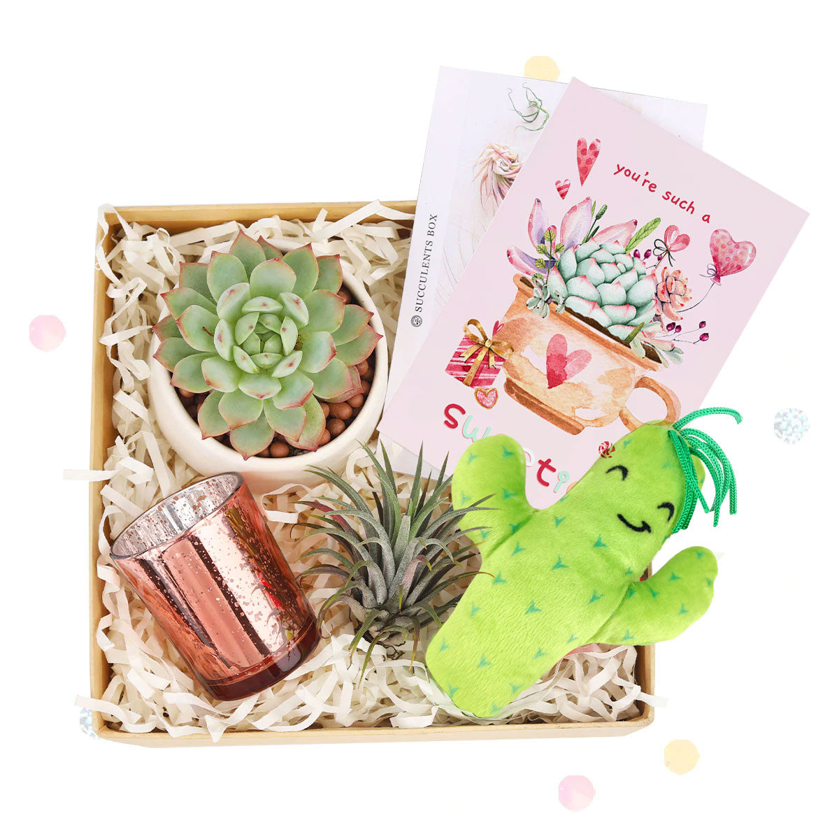 EcoFriendly Succulent Gift Box for Employee, Corporate Gift Succulents For Sale Online, Succulent Thank You Gift Ideas, Thank you gift for your staff in 2023, Customizable Gift Boxes for employees and clients, Office gift for employees, Employee appreciation day 2023 ideas, Succulent Plants for Clients &amp; Employees for sale