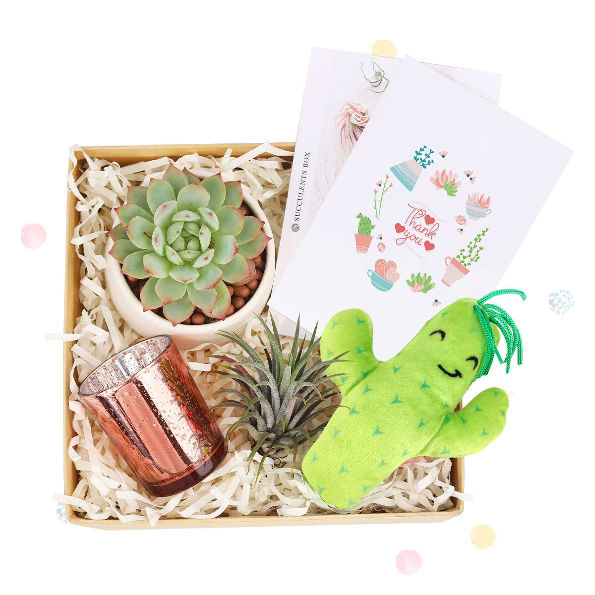 EcoFriendly Succulent Gift Box for Employee, Corporate Gift Succulents For Sale Online, Succulent Thank You Gift Ideas, Thank you gift for your staff in 2023, Customizable Gift Boxes for employees and clients, Office gift for employees, Employee appreciation day 2023 ideas, Succulent Plants for Clients &amp; Employees for sale