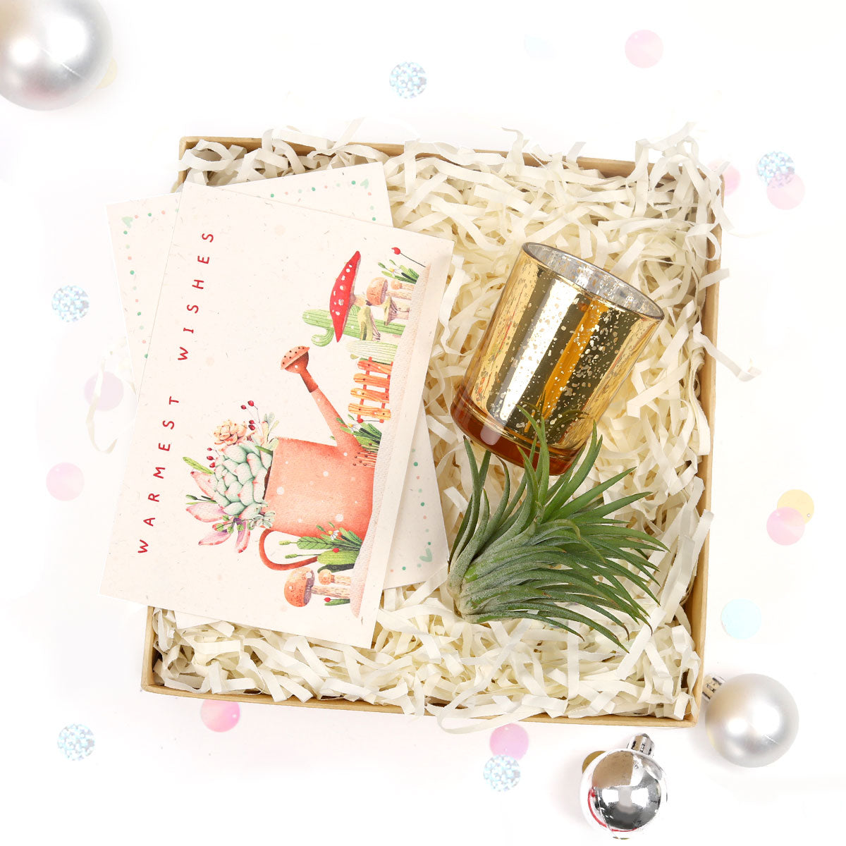 Air plant Christmas Gift Box for Sale, Air plant Holiday Gift Box, Air plant Gift Ideas 2021, Air plant Gift Box for Christmas, Air Plant Gift Box, Plant in a Box Gift, Air Plant Gift Ideas, Christmas Succulents, Christmas Succulent Plants, Succulents for Christmas Ideas in 2021, Succulent Christmas Decorations, Succulent Christmas Gift Ideas, Christmas Gift Ideas for Succulent Lovers, Holiday Succulent Planter, Holiday Decorating with Succulents