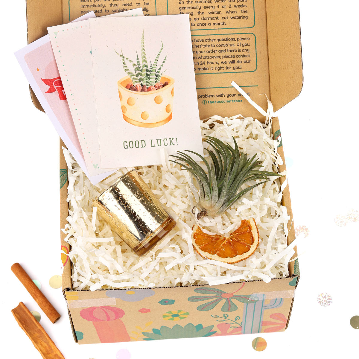 air plant gift box Personalized Christmas Gift Box | Air Plants Gift Box | Christmas Gift Ideas