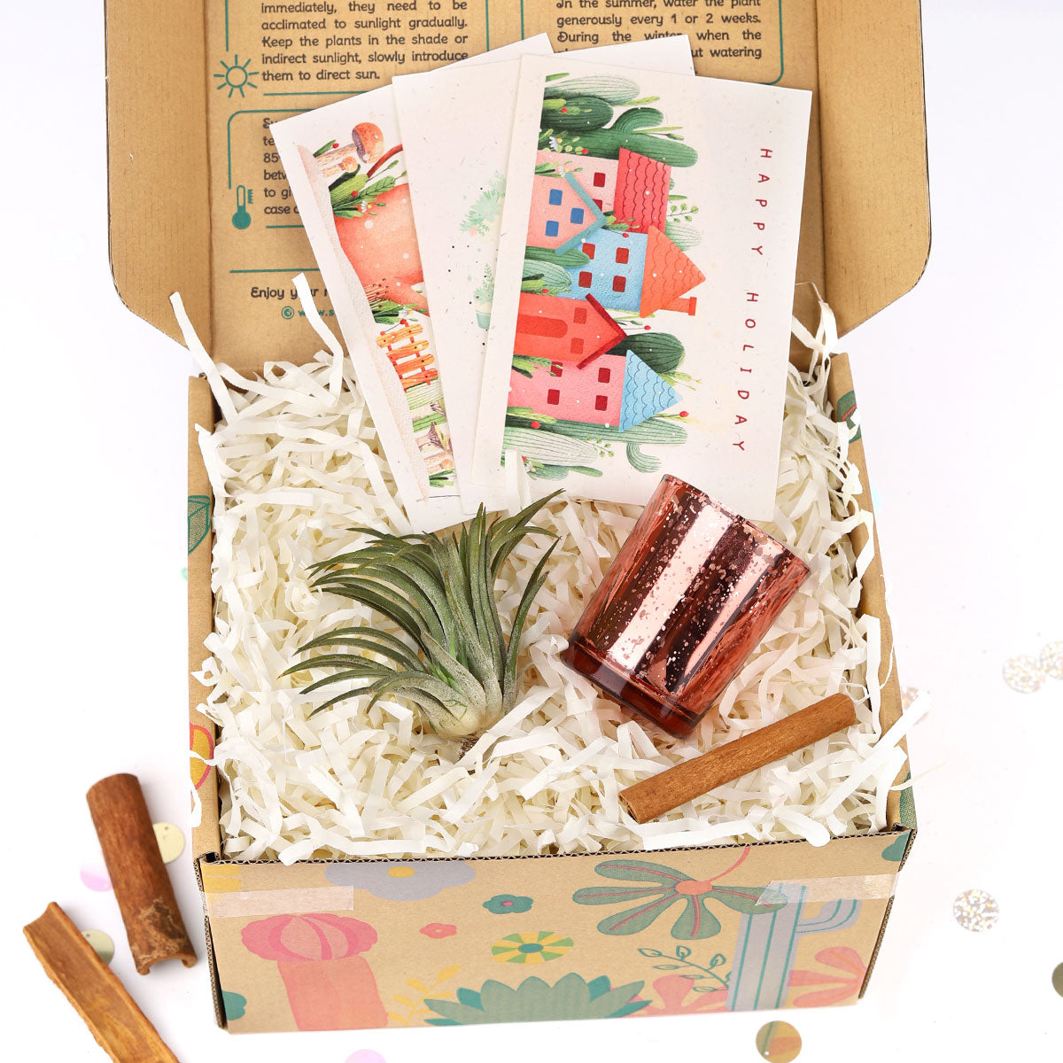 Air plant Christmas Gift Box for Sale, Air plant Holiday Gift Box, Air plant Gift Ideas 2021, Air plant Gift Box for Christmas, Air Plant Gift Box, Plant in a Box Gift, Air Plant Gift Ideas, Christmas Succulents, Christmas Succulent Plants, Succulents for Christmas Ideas in 2021, Succulent Christmas Decorations, Succulent Christmas Gift Ideas, Christmas Gift Ideas for Succulent Lovers, Holiday Succulent Planter, Holiday Decorating with Succulents