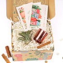 Air plant Christmas Gift Box for Sale, Air plant Holiday Gift Box, Air plant Gift Ideas 2021, Air plant Gift Box for Christmas, Air Plant Gift Box, Plant in a Box Gift, Air Plant Gift Ideas, Christmas Succulents, Christmas Succulent Plants, Succulents for Christmas Ideas in 2021, Succulent Christmas Decorations, Succulent Christmas Gift Ideas, Christmas Gift Ideas for Succulent Lovers, Holiday Succulent Planter, Holiday Decorating with Succulents