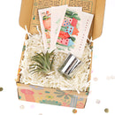 Air plant Christmas Gift Box for Sale, Air plant Holiday Gift Box, Air plant Gift Ideas 2021, Air plant Gift Box for Christmas, Air Plant Gift Box, Plant in a Box Gift, Air Plant Gift Ideas, Christmas Succulents, Christmas Succulent Plants, Succulents for Christmas Ideas in 2021, Succulent Christmas Decorations, Succulent Christmas Gift Ideas, Christmas Gift Ideas for Succulent Lovers, Holiday Succulent Planter, Holiday Decorating with Succulents