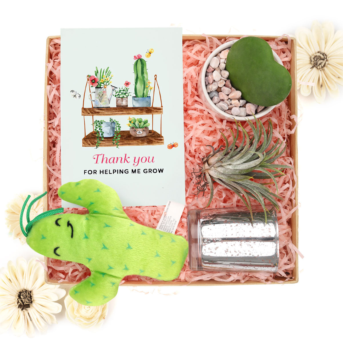 Mother&#39;s day gift ideas for wife, Mother&#39;s day gift ideas for grandma, Best gift ideas for mom, Mother&#39;s day gift ideas diy, Mother&#39;s day gift, Gifts for mom 2023, Succulents for mom, Mom&#39;s succulent arrangements, Mother&#39;s day succulent delivery, Succulent gift for mom, Father&#39;s Day Gift Box, Father&#39;s Day Gift Box Ideas, Plant Dad Gifts, Gifts for Dad, Father&#39;s Day Gifts Delivery 2023