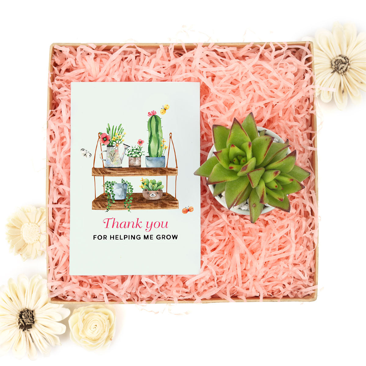 Succulent mom gift, Succulents for mom, Mom&#39;s succulent arrangements, Mother&#39;s day succulent delivery, Succulent gift for mom, Plant Gifts for Men, Happy Father&#39;s Day Gift, Succulent Gift for Men, Thank You Gift Dad, Appreciation Gift for Dad 2025