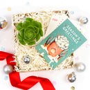 Succulent Christmas Gift Box for Sale, Succulent Holiday Gift Box, Succulent Gift Ideas 2023, Succulent Gift Box for Christmas, Plant in a Box Gift, Christmas Succulents, Christmas Succulent Plants, Succulents for Christmas Ideas in 2023, Succulent Christmas Decorations, Succulent Christmas Gift Ideas, Christmas Gift Ideas for Succulent Lovers, Holiday Succulent Planter, Holiday Decorating with Succulents