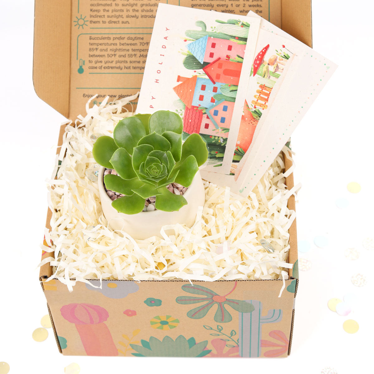 Succulent Christmas Gift Box for Sale, Succulent Holiday Gift Box, Succulent Gift Ideas 2023, Succulent Gift Box for Christmas, Plant in a Box Gift, Christmas Succulents, Christmas Succulent Plants, Succulents for Christmas Ideas in 2023, Succulent Christmas Decorations, Succulent Christmas Gift Ideas, Christmas Gift Ideas for Succulent Lovers, Holiday Succulent Planter, Holiday Decorating with Succulents