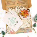 Succulent Christmas Gift Box for Sale, Succulent Holiday Gift Box, Succulent Gift Ideas 2023, Succulent Gift Box for Christmas, Plant in a Box Gift, Christmas Succulents, Christmas Succulent Plants, Succulents for Christmas Ideas in 2023, Succulent Christmas Decorations, Succulent Christmas Gift Ideas, Christmas Gift Ideas for Succulent Lovers, Holiday Succulent Planter, Holiday Decorating with Succulents