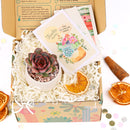 Succulent Christmas Gift Box for Sale, Succulent Holiday Gift Box, Succulent Gift Ideas 2023, Succulent Gift Box for Christmas, Plant in a Box Gift, Christmas Succulents, Christmas Succulent Plants, Succulents for Christmas Ideas in 2023, Succulent Christmas Decorations, Succulent Christmas Gift Ideas, Christmas Gift Ideas for Succulent Lovers, Holiday Succulent Planter, Holiday Decorating with Succulents