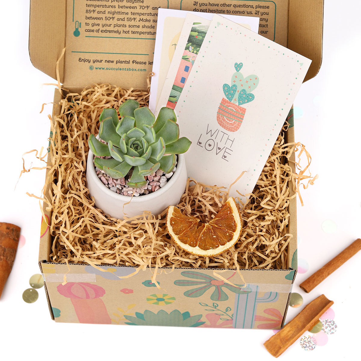 Succulent Christmas Gift Box for Sale, Succulent Holiday Gift Box, Succulent Gift Ideas 2023, Succulent Gift Box for Christmas, Plant in a Box Gift, Christmas Succulents, Christmas Succulent Plants, Succulents for Christmas Ideas in 2023, Succulent Christmas Decorations, Succulent Christmas Gift Ideas, Christmas Gift Ideas for Succulent Lovers, Holiday Succulent Planter, Holiday Decorating with Succulents