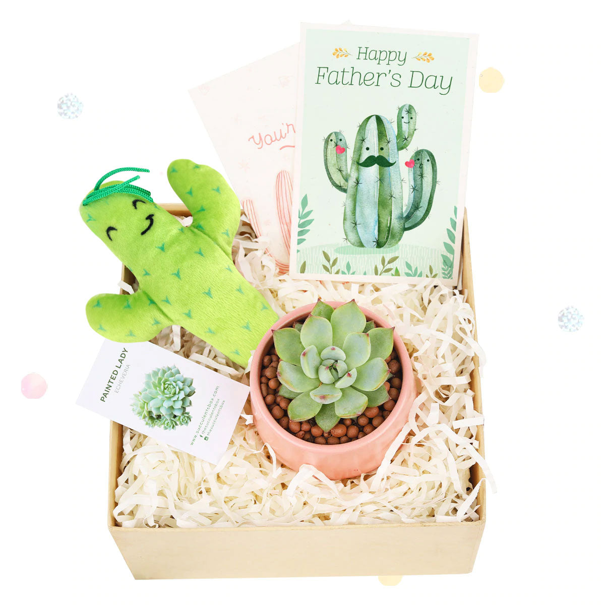 Father&#39;s Day Gift Box, Father&#39;s Day Gift Box Ideas, Plant Dad Gifts, Gifts for Dad, Father&#39;s Day Gifts Delivery 2023, Plant Gifts for Men, Happy Father&#39;s Day Gift, Succulent Gift for Men, Thank You Gift Dad, Appreciation Gift for Dad