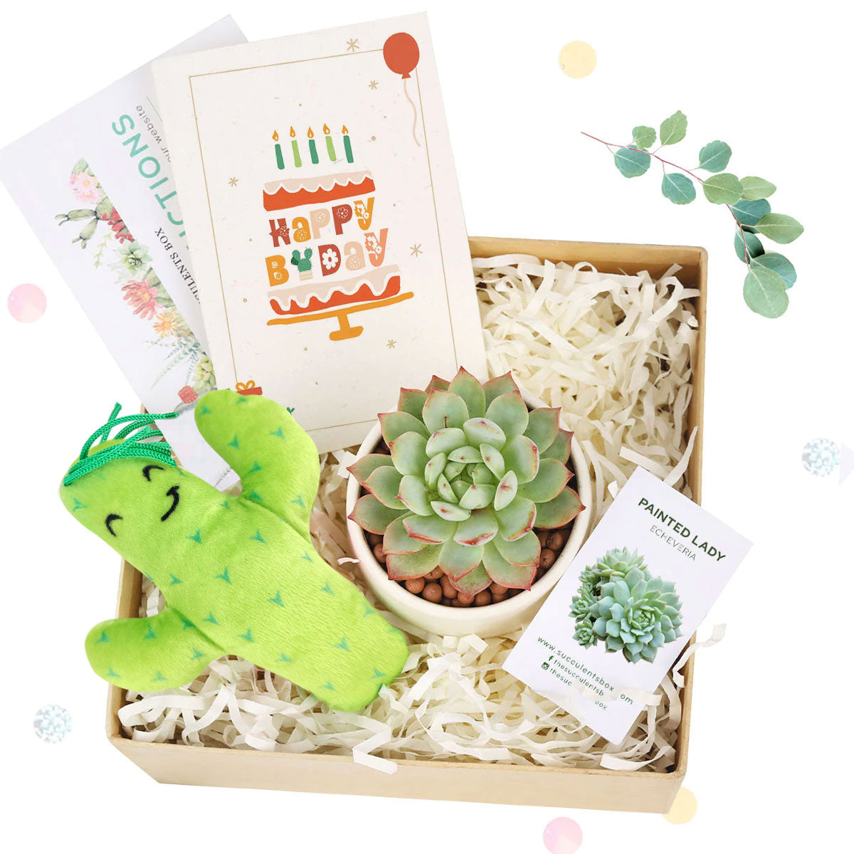 Succulent Thank You Gift Ideas, Thank you gift for your staff in 2023, Office gift for employees, Employee appreciation day 2023 ideas, EcoFriendly Succulent Gift Box for Employee, Personalized bridal shower favor, Succulents and cactus make awesome wedding favors, DIY wedding succulent centerpieces, Succulents wedding decorations ideas