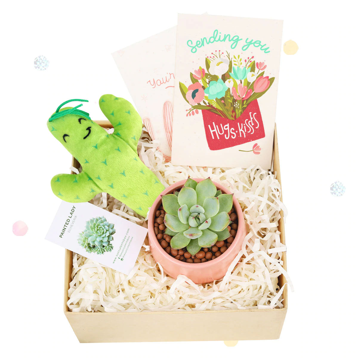 EcoFriendly Succulent Gift Box for Employee, Corporate Gift Succulents For Sale Online, Succulent Thank You Gift Ideas, Thank you gift for your staff in 2023, Customizable Gift Boxes for employees and clients, Office gift for employees, Employee appreciation day 2023 ideas, Succulent Plants for Clients &amp; Employees for sale