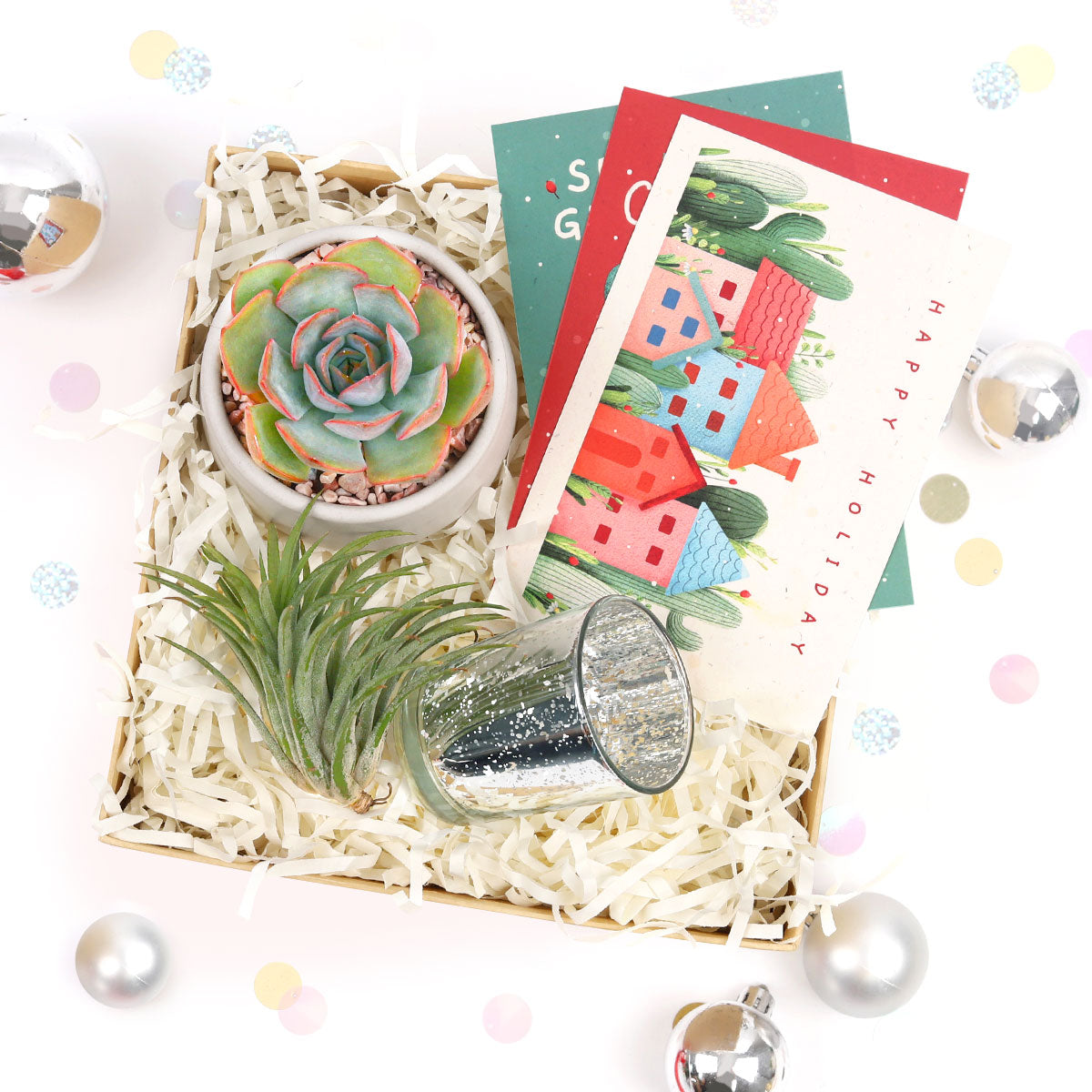 EcoFriendly Succulent Gift Box for Employee, Corporate Gift Succulents For Sale Online, Succulent Thank You Gift Ideas, Thank you gift for your staff in 2025, Customizable Gift Boxes for employees and clients, Office gift for employees, Employee appreciation day 2025 ideas, Succulent Plants for Clients &amp; Employees for sale